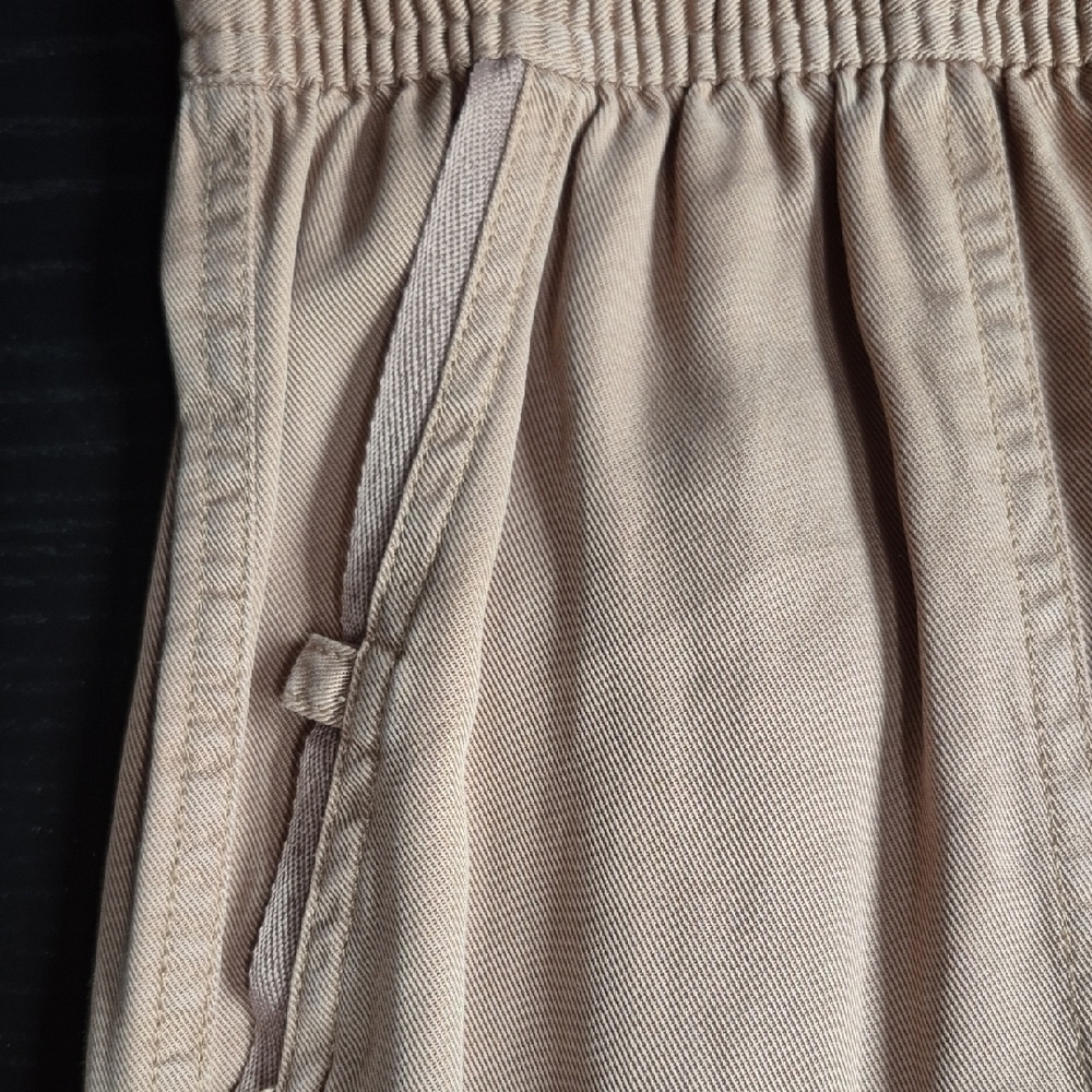 Thread & Supply Tan Pants - Picture 2 of 11